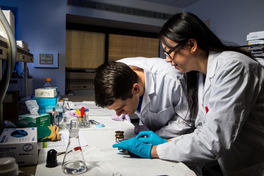 Scientists working in a lab