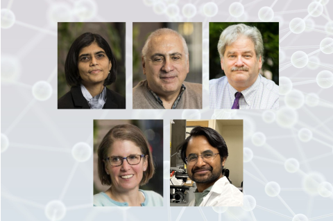 Top row: Sai Das, PhD; Andrew Greenberg, MD; Ed Saltzman, MD; Bottom row: Kyla Shea, PhD; Robin Wilson, PhD
